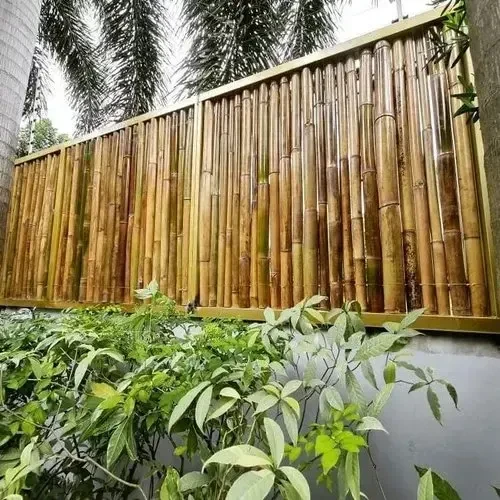 Bamboo fence